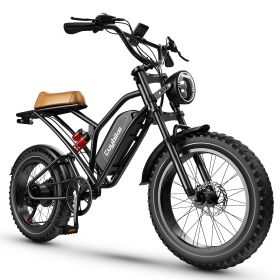 EUY S4 1000W 48V 25AH electric bike 20 inch fat tire bicycle beach cruise e-bike all terrain off-road ebike for Adults