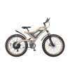 Snakeskin Grain Powerful Electric Bike S18-1500W