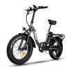 750w Step Through Electric Bike for Adults;  20'x4.0'Fat Tire Foldable Ebikes with 48V 16Ah Removable Battery