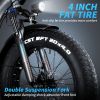 750w Step Through Electric Bike for Adults;  20'x4.0'Fat Tire Foldable Ebikes with 48V 16Ah Removable Battery