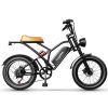 EUY S4 1000W 48V 25AH electric bike 20 inch fat tire bicycle beach cruise e-bike all terrain off-road ebike for Adults