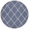 Home Decor Indoor/Outdoor Accent Rug Natural Stylish Classic Pattern Design