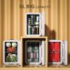 Mini Fridge 6L Portable Beauty Makeup Skincare Fridge Cosmetic LED Mirror Refrigerator with 3pcs Makeup Sponge