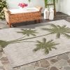 Home Decor Indoor/Outdoor Accent Rug Natural Stylish Classic Pattern Design